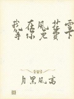 我在风花雪月里等你免费下载txt