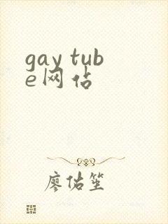 gay tube网站