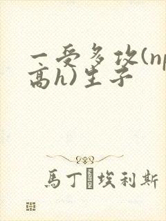 一受多攻(np高h)生子