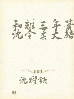 和离三年萧清濯沈令柔大结局
