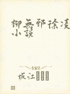 柳无邪徐凌雪的小说