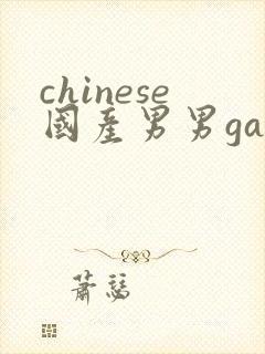 chinese国产男男gaygay网站