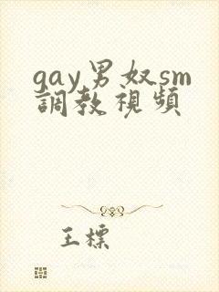 gay男奴sm调教视频