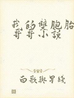 我的双胞胎骚货哥哥小说