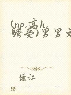(np,高h,骚受)男男文