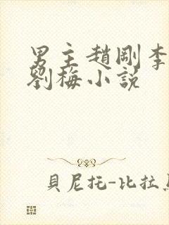 男主赵刚李晓雅刘梅小说