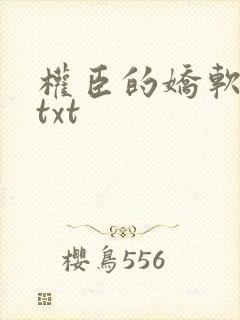 权臣的娇软美人txt封面