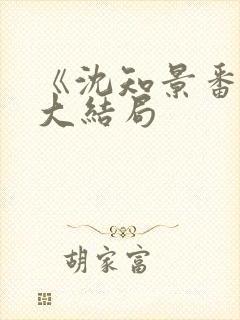 《沈知景番外》大结局