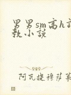 男男sm高h调教小说