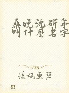 桑晚沈斫年小说叫什么名字