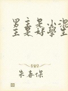 男主是小混混女主是好学生的小说