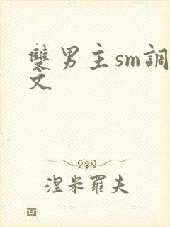 双男主sm调教文封面