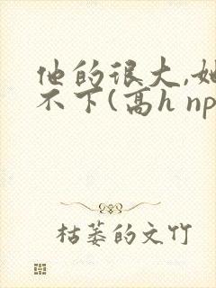 他的很大,她忍不下(高h np)小说