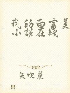我的白富美老婆小说在线