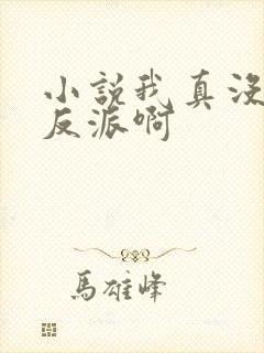 小说我真没想当反派啊
