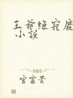 王爷绝宠废柴妃 小说