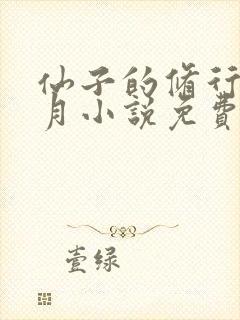 仙子的修行萧曦月小说免费阅读封面