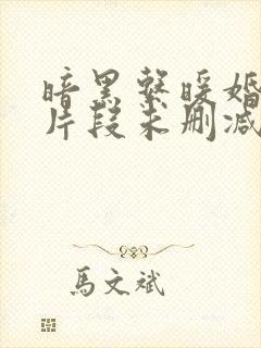 暗黑系暖婚开车片段未删减版