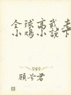 全球高武老鹰吃小鸡小说下载全集封面