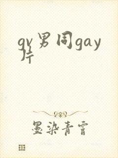 gv男同gay片封面