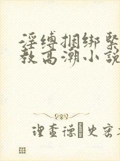 淫缚捆绑紧缚调教高潮小说封面