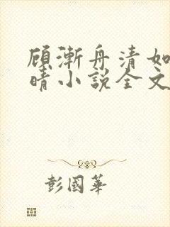 顾渐舟清如苏见晴小说全文阅读封面