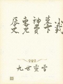 辰东神墓小说全文免费下载封面