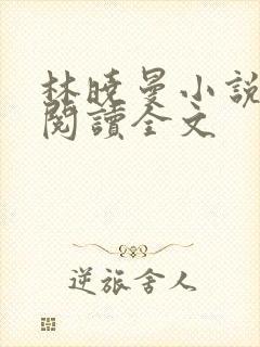 林晓曼小说免费阅读全文