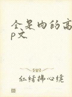 全是肉的高hnp文
