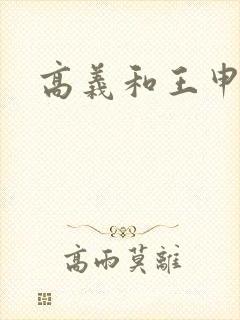 高义和王申小说封面