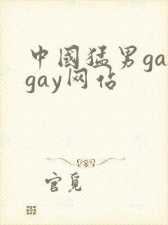 中国猛男gaygay网站封面