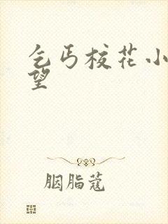 乞丐校花小说绝望