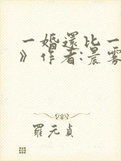 一婚还比一婚高》作者:晨雾的光封面