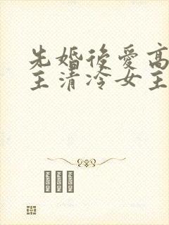 先婚后爱高冷男主清冷女主封面