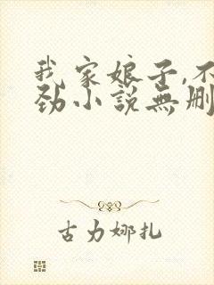 我家娘子,不对劲小说无删减