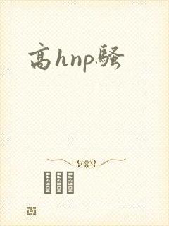 高hnp骚