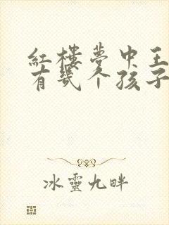 红楼梦中王夫人有几个孩子