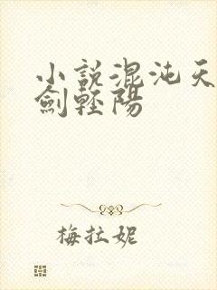 小说混沌天帝诀剑轻阳