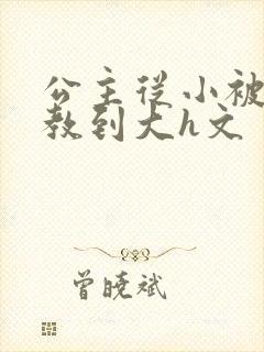 公主从小被肉调教到大h文封面