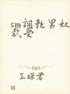 sm调教男奴总裁受