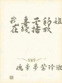 我妻子的姐姐2在线播放封面