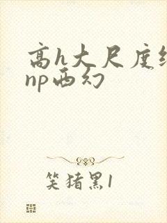 高h大尺度纯肉np西幻