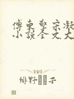傅东擎宋凝林阑小说全文大结局
