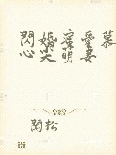 闪婚蜜爱慕少的心尖萌妻
