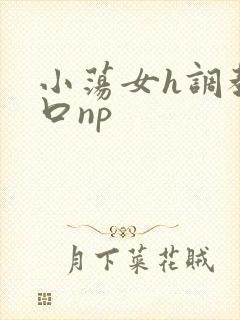小荡女h调教重口np