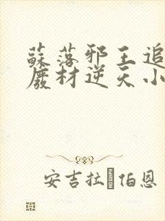 苏落邪王追妻:废材逆天小姐字数
