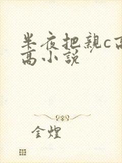 半夜把亲c高潮高小说