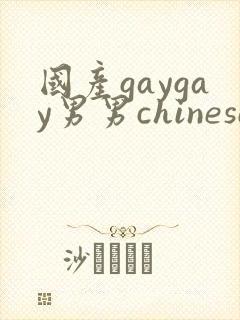国产gaygay男男chinese