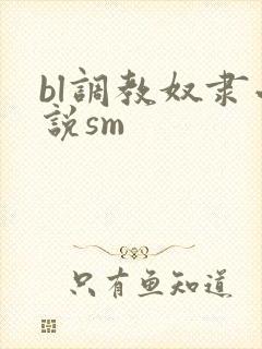 bl调教奴隶小说sm