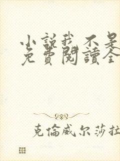 小说我不是戏神免费阅读全文无窗口